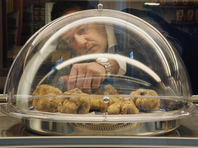 Gianfranco Curti in The Truffle Hunters. Picture: Michael Dweck and Gregory Kershaw.