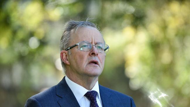 Opposition Leader Anthony Albanese. Picture: NCA NewsWire / Flavio Brancaleone