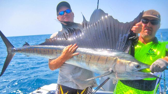 <s1>Steve Abraham and Steve Taylor were on the money with this Bathurst Trench sailfish.</s1>