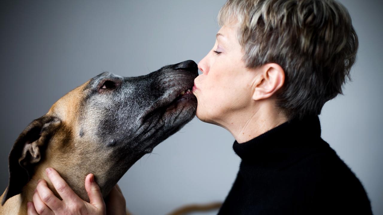 Reader Aimee asks Dr Zac whether it's OK for her partner to kiss their dog. Picture: Getty Images.