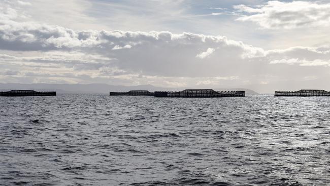 Anger at ‘stealth’ plan for fish farms in the Bass Strait