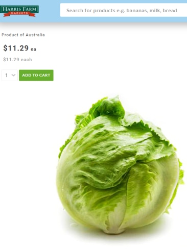 Harris Farm selling lettuce for $11.29 each.
