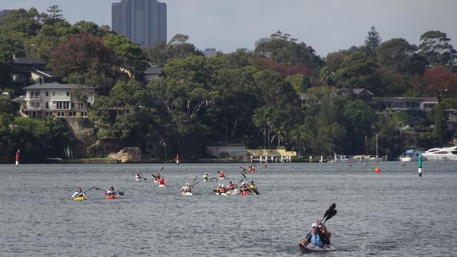 The sewage spilt into the Lane Cove River.