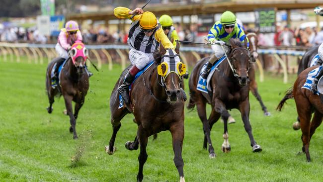 Volcanic Express charges home to win the Hills Railway at Oakbank in April. Picture: Makoto Kaneko
