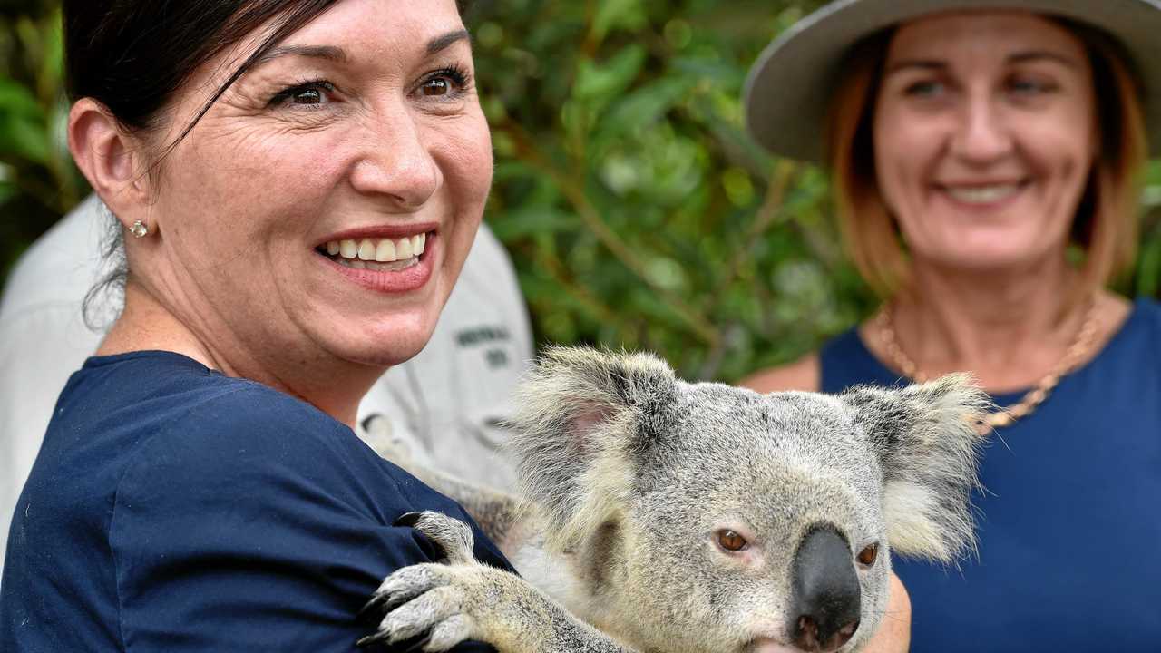 Minister for Environment Leeanne Enoch. Picture: Warren Lynam