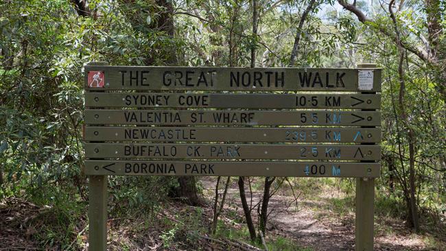 A section of the Great North Walk runs through Boronia Park.