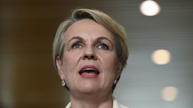 Environment and Water Minister Tanya Plibersek. Picture: NCA NewsWire / Martin Ollman