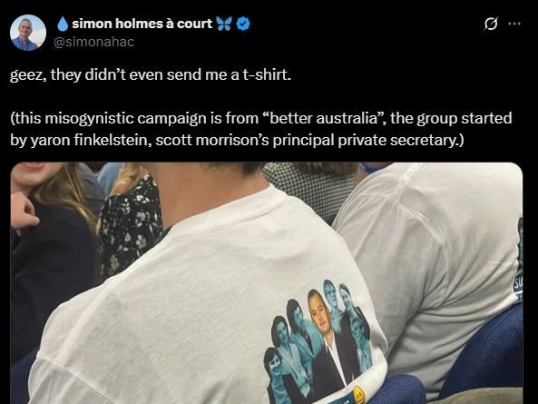 Simon Holmes à Court has accused the Repeal the Teal group of misogyny.
