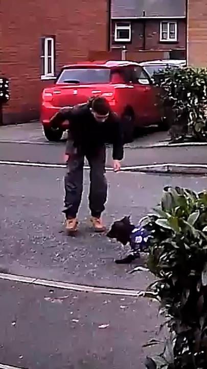 Hilarious moment tiny dog scares worker putting up Christmas lights