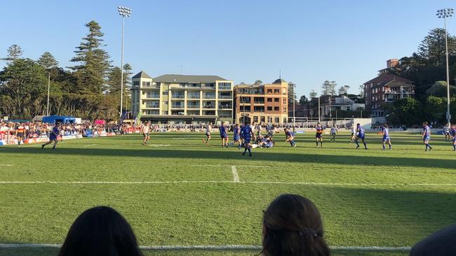 Manly Oval looks a picture. Photo: Christy Doran