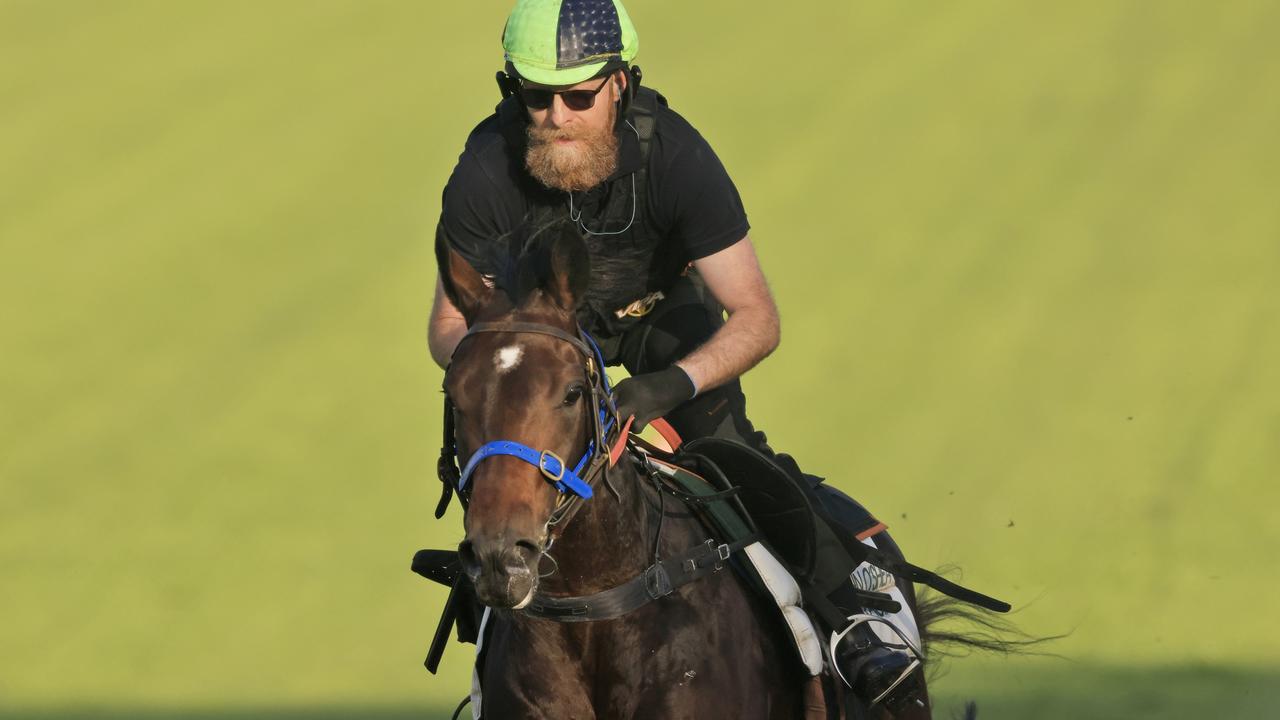 Canterbury Trackwork Session