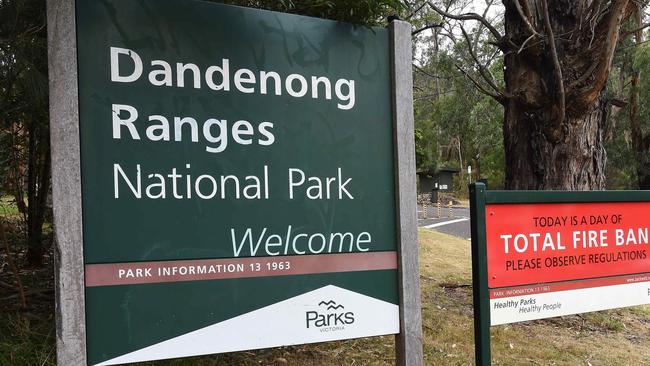 A man has been fined for growing cannabis plants in the Dandenong Ranges National Park near Mount Evelyn. File picture.