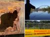 Sewer leaks: The shock cost to Gold Coast ratepayers
