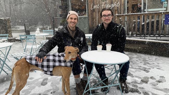 Stanley Gant and Cameron Crawford enjoying a coffee in the snow with their dog on kunanyi/Mt Wellington.