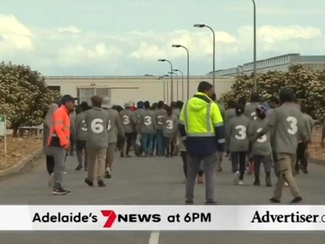 The Advertiser, 7NEWS Adelaide: Tomato industry crisis, Planned abortion rally