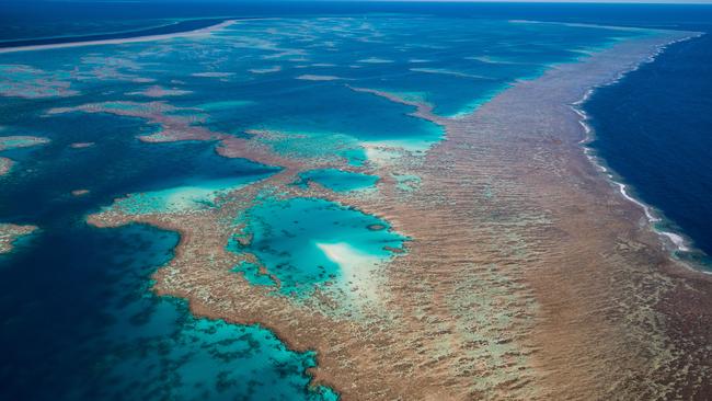 The Great Barrier Reef’s irreplaceable ecosystem, rich coral beds and unqiue marine life are facing a growing number of threats. Picture: Gary Cranitch