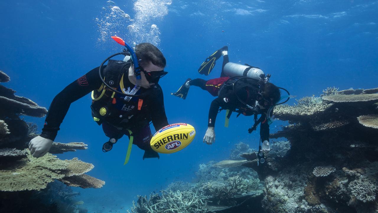 AFL Cup Tour headed out to the MOUA reef and underwater for a shot at the Townsville underwater museum. Picture: Brooke Miles Ogden