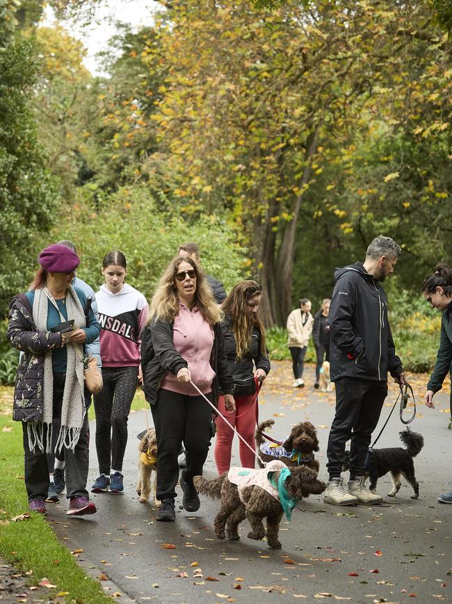 Million Paws Walk in the Adelaide Botanic Gardens, Sunday, May 28, 2023. Picture: Matt Loxton