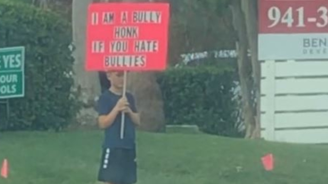 A young boy was seen standing by the side of the road holding a sign that read: “I am a bully. Honk if you hate bullies.” Picture: Tik Tok
