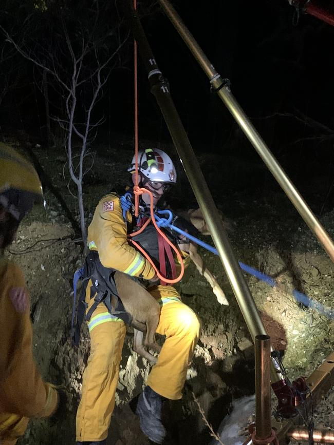 Two dogs were rescued from a mine near Bendigo on Wednesday night. Photo: Victoria Police