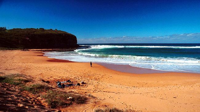 Basin Beach, also known as Bongin Bongin Bay, at Mona Vale, has been the focus of an energetic community campaign to have it declared a “no take” Aquatic Reserve. Picture: Samantha Studdert