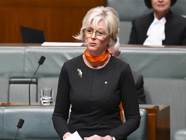 Independent member for Indi Helen Haines delivers her first speech in the House of Representatives at Parliament House in Canberra, Thursday, August 1, 2019. (AAP Image/Lukas Coch) NO ARCHIVING