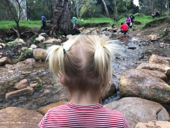 Eloise, 1, explores the creek at the Morialta Conservation Parknature Playground