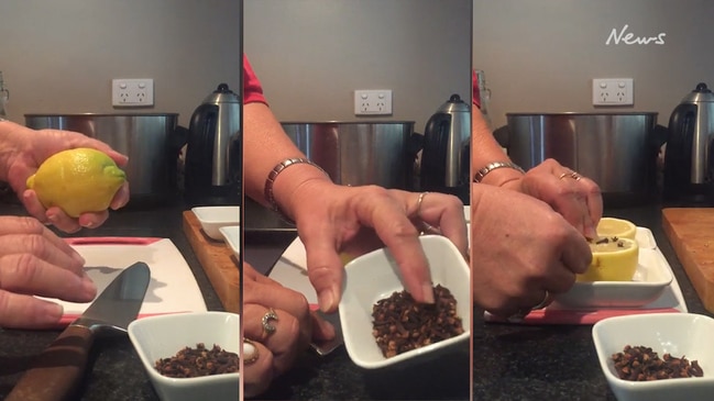 Woman's clever two-ingredient hack to rid of fruit flies