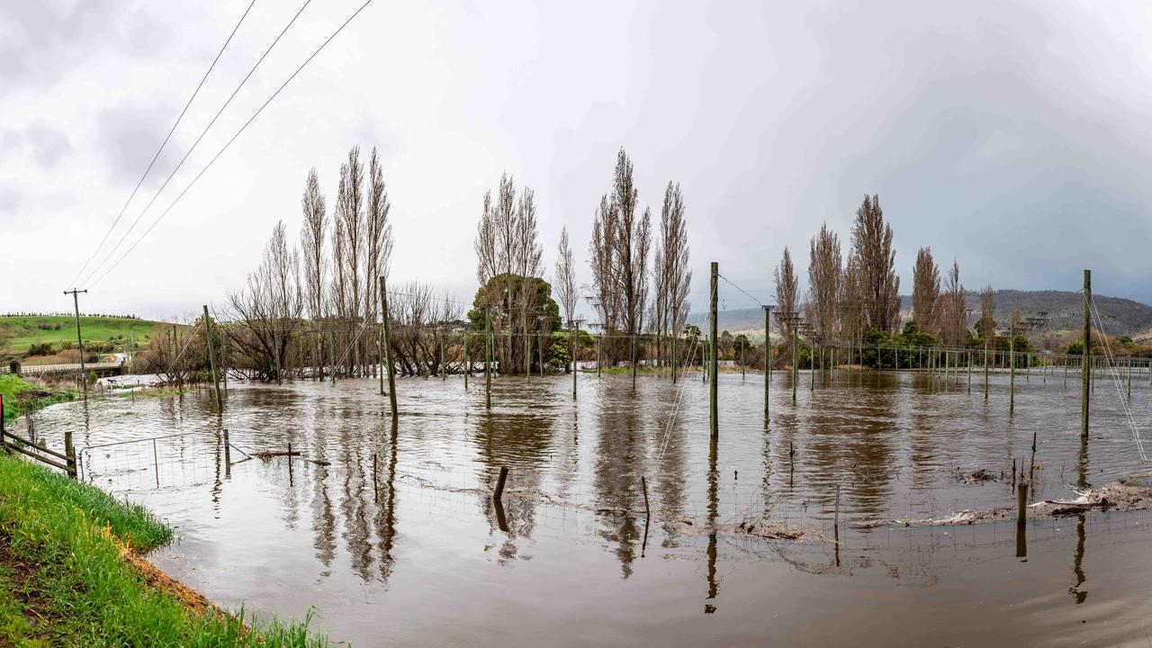 Panoramic view of flooding at Bushy Park on Monday 2nd September 2024. Picture: Linda Higginson