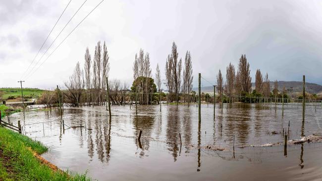 Panoramic view of flooding at Bushy Park on Monday 2nd September 2024. Picture: Linda Higginson