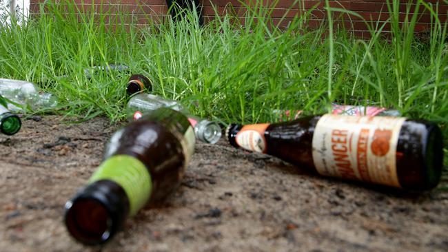 Youth at a loose end for things to do resort to getting drunk in parks and committing petty crime, locals say. Picture: Troy Snook