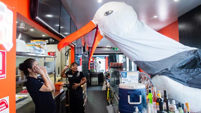 Giant Seagulls, created by Snuff Puppets, have been out and about during the 2024 Darwin Festival. Picture: Elise Derwin