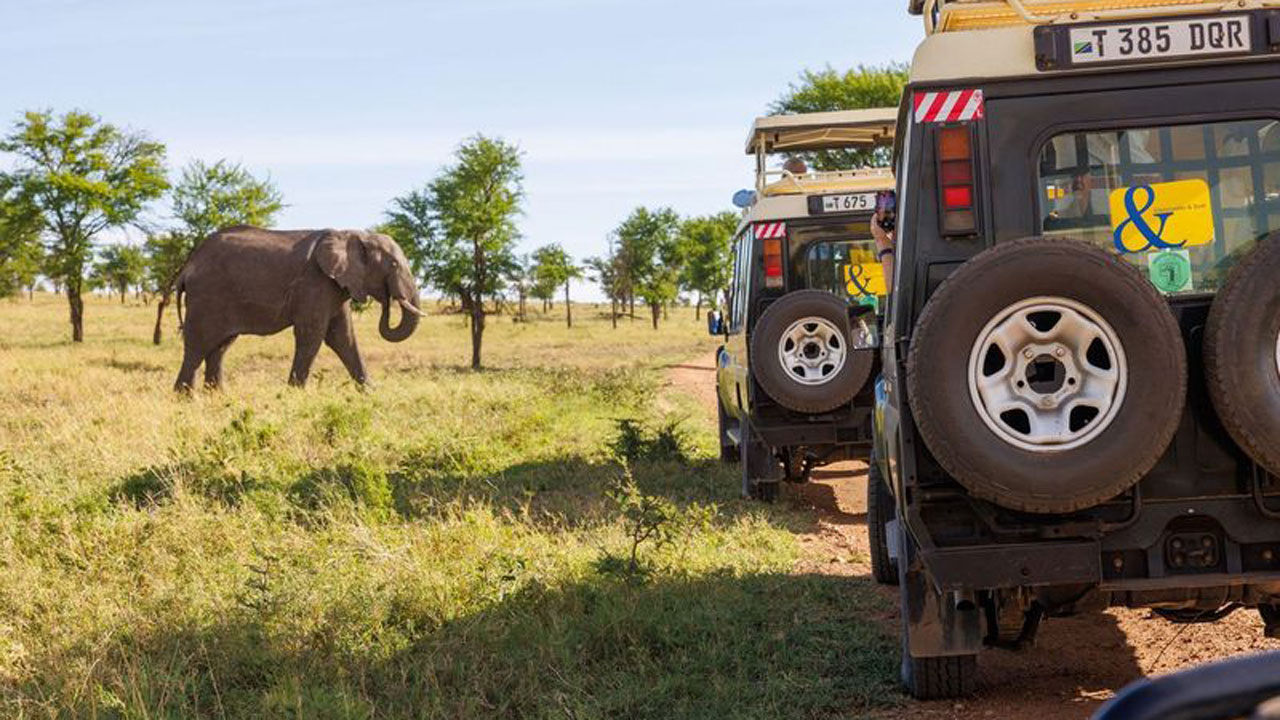 7 amazing things I learnt from a Maasai safari guide | escape.com.au