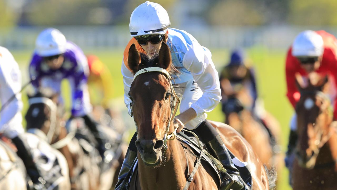 Sydney Racing - Spring Champion Stakes Day