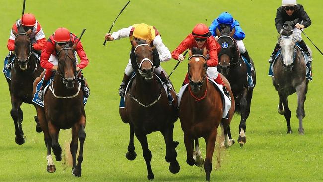 SLIPPER DAY RACES