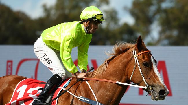 Tyler Schiller brings Makarena back to scale after winning the Tapp-Craig at Rosehill on October 7 last year. Picture: Jeremy Ng / Getty Images