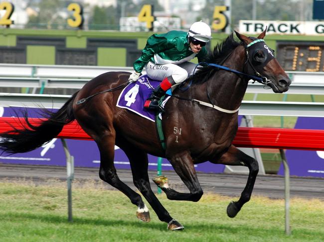 Al Maher, ridden by Noel Callow, wins the Australian Guineas. Picture: File