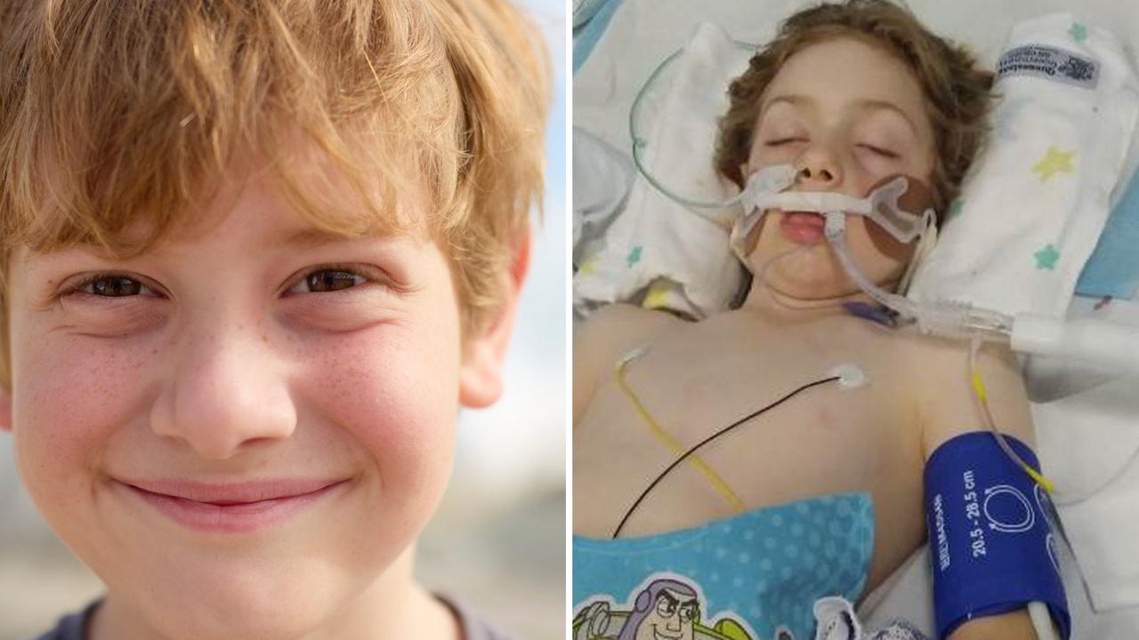 ‘Seeing rainbows, seizures’: Boy’s deadly reaction to hairy caterpillar