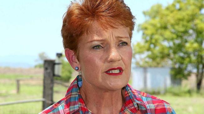 Pauline Hanson will now be courted by the major parties. Picture: TERTIUS PICKARD