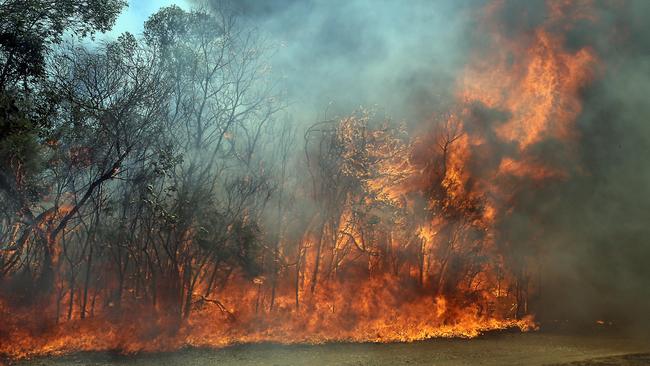 The wild bushfire at Cornubia. Photo: AAP Image/Richard Gosling