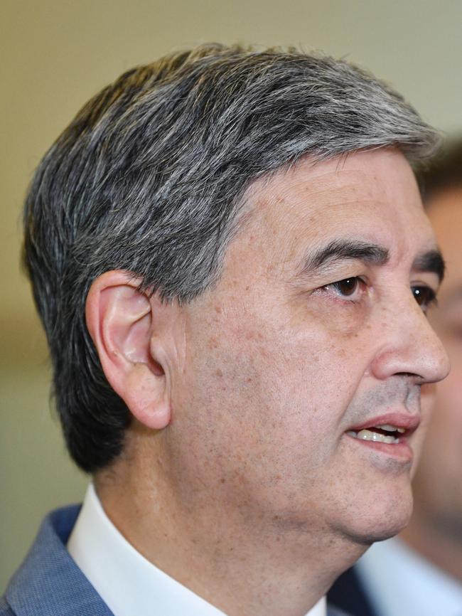 Treasurer Rob Lucas described the current legislation as a “complete dog’s breakfast”. Picture: AAP / David Mariuz