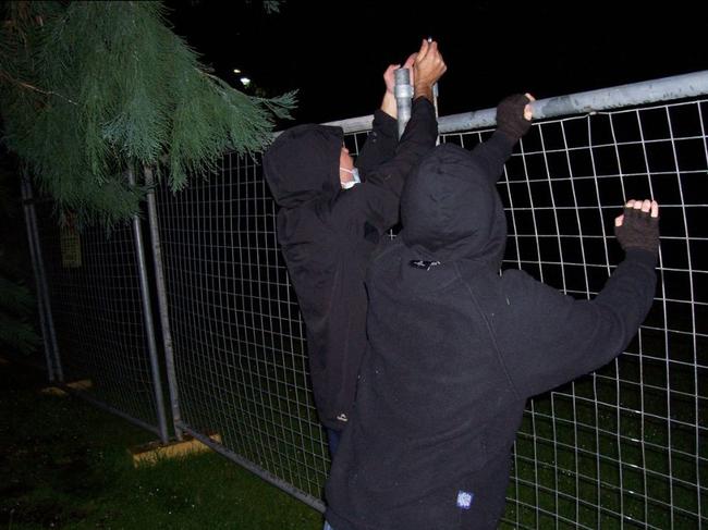 Members of Grassroots Action Network Tasmania dismantled a hundred metres of steel fencing around the giant trees in St David's Park in solidarity with community members sleeping rough.  Picture: Grassroots Action Network Tasmania