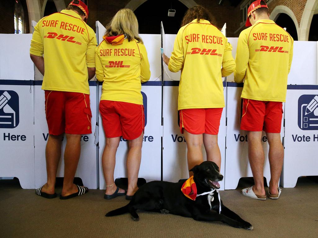 Lifeguards pre-polling. Picture: Tim Hunter.