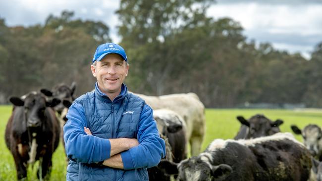 James Manning has been implementing regenerative agriculture. Picture: Zoe Phillips