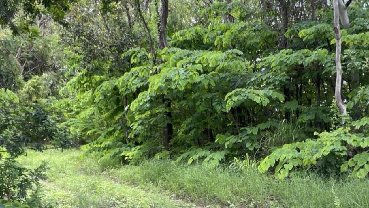 The area around Tiles Street and Chewko road which is ultimately connected to the racecourse and Mareeba tennis club which the boys families say the boys were before they allegedly chased down by the two men.