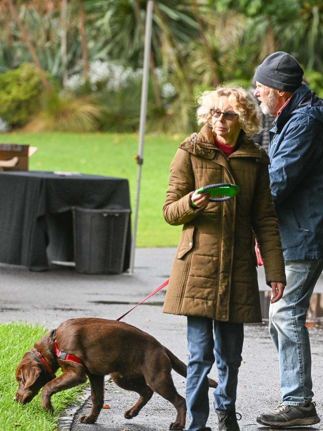 Million Paws Walk at Adelaide Botanic Gardens. Picture: Brenton Edwards