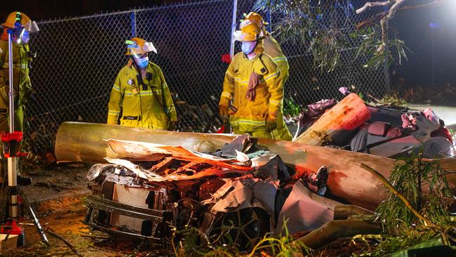 A man was tragically killed when his car was crushed by a tree while leaving a shopping centre in Belgrave. Picture: Mark Stewart