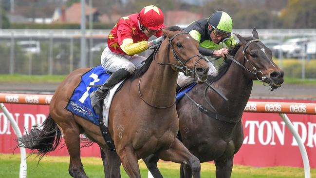 King Of Sparta will be out to add the Aurie’s Star Handicap to his last-start win in the Group 3 Bletchingly Stakes. Picture: Racing Photos via Getty Images