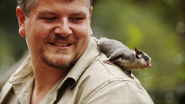 Brad Wilson says hello to a friendly sugar glider. Picture: Sam Ruttyn