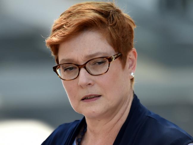 Minister for Foreign Affairs Marise Payne talks to journalists at a press conference in Sydney, Friday, January 4,, 2019. (AAP Image/Mick Tsikas) NO ARCHIVING